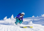 开云APP-玻利维亚对阵德国，努涅斯状态火热，南美黑马能否掀翻欧洲巨人？